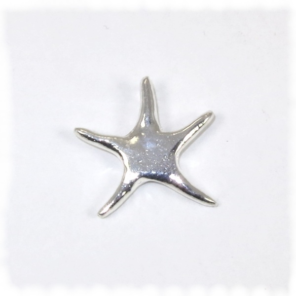 Larger silver starfish